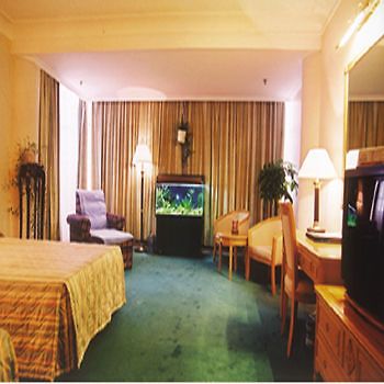 Torch Hotel Urumqi Room photo